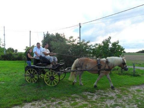 Aux Cadollines Bed and Breakfast Romenay Buitenkant foto